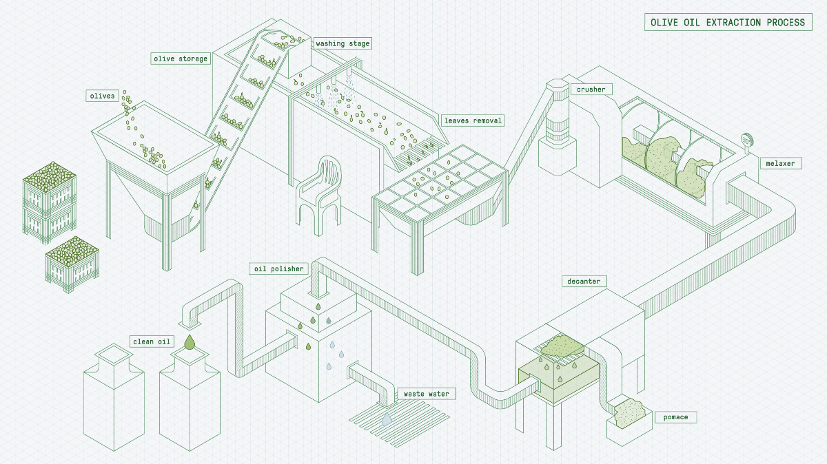 OliveOilExtractionProcess-1